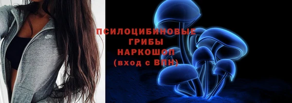 герыч Арсеньев