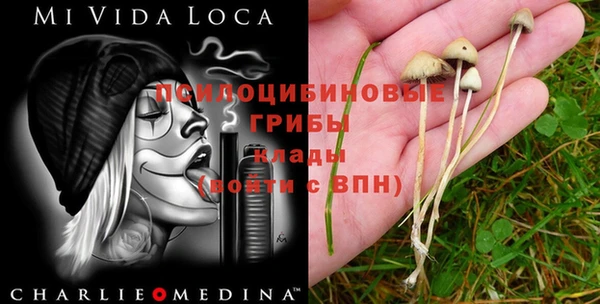 a pvp Балахна