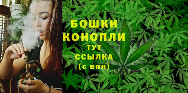 бошки Аркадак