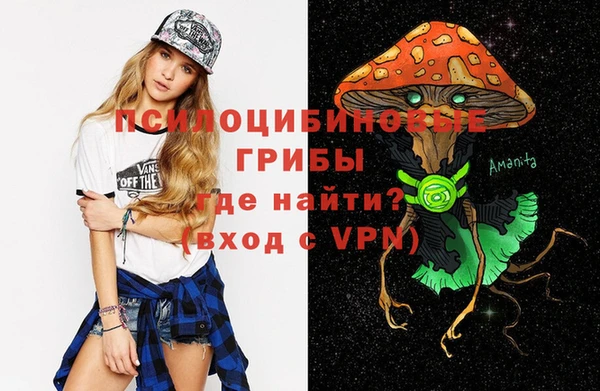 гидра Алзамай