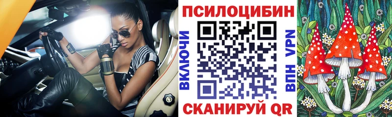 Галлюциногенные грибы прущие грибы  Находка 