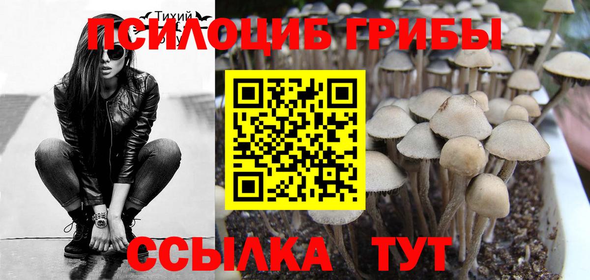 Галлюциногенные грибы GOLDEN TEACHER  Вход с VPN  Галлюциногенные грибы мухоморы  купить закладку  Находка 